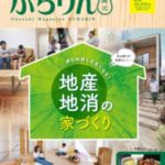 ぶらりん岡崎 北版・南版