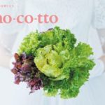 Cho-co-tto（ちょこっと）