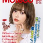 モテコ 群馬中央版