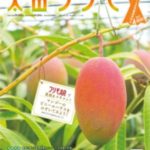 太田フリモ