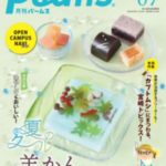 Palm's(月刊パームス)