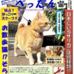 ぺったん