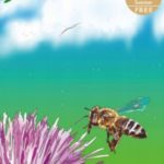 湘南ビーチFMマガジン