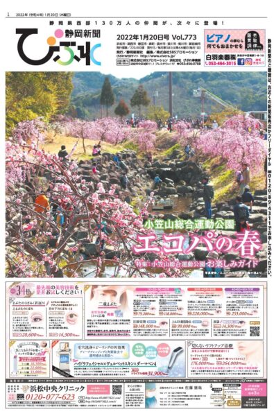 静岡新聞びぶれ