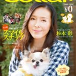 Collar（カラー）