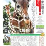 天王寺動物園情報紙 Together(トゥゲザー)